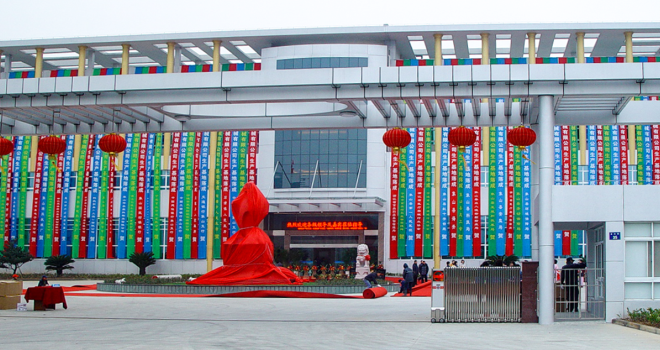 戴維(wei)醫(yī)療_2009